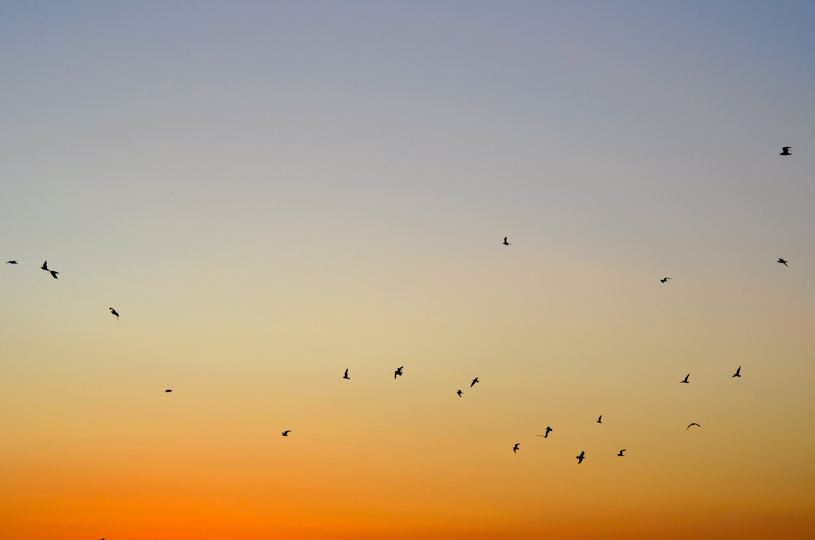 Un air de liberté