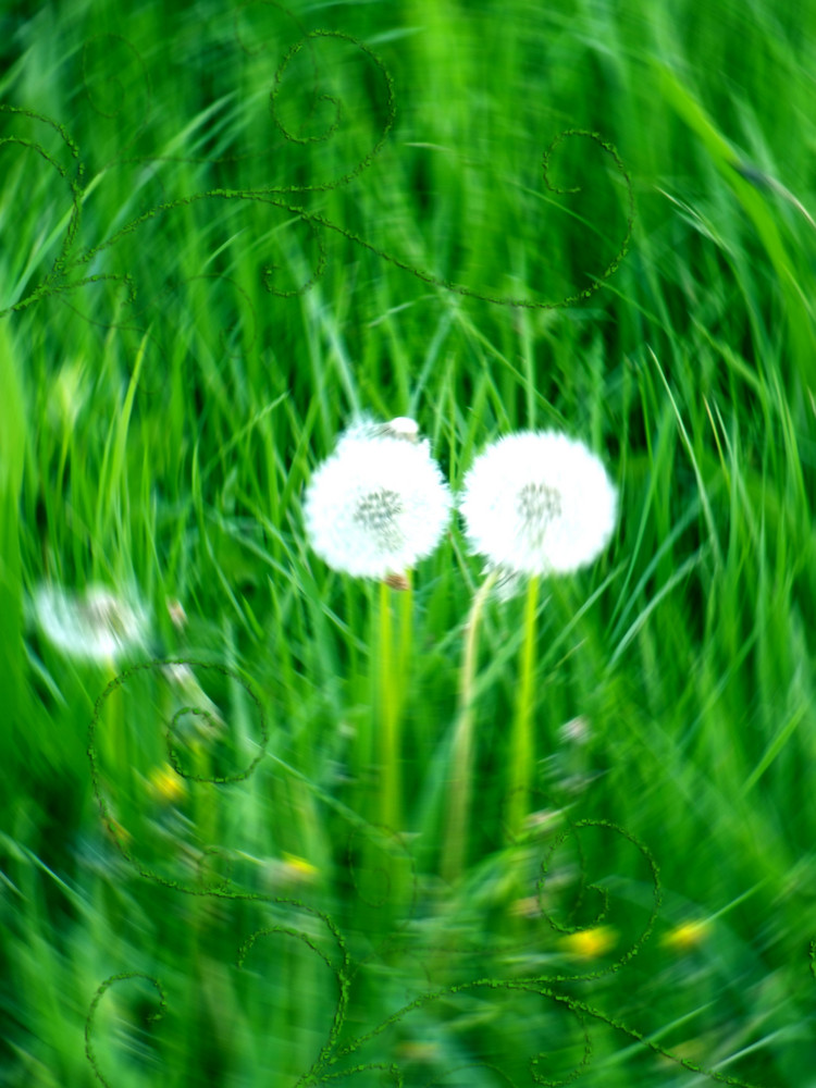 Un air de Printemps