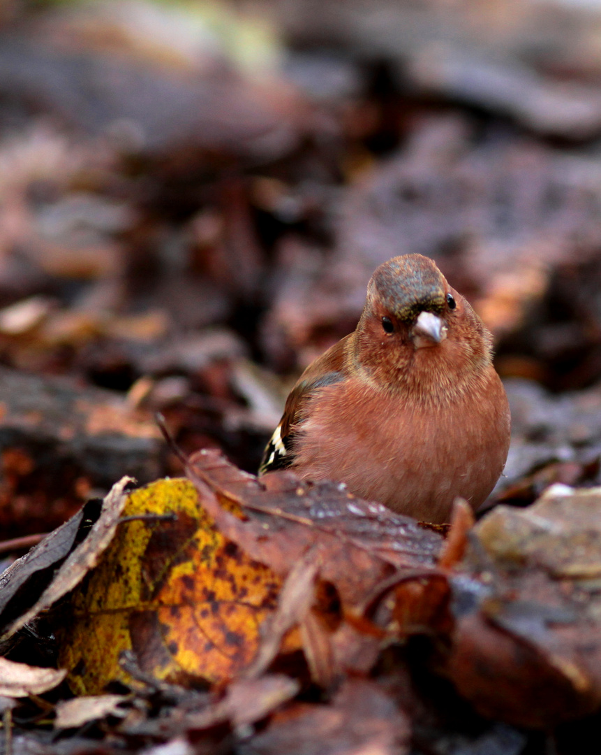 un air de tendresse