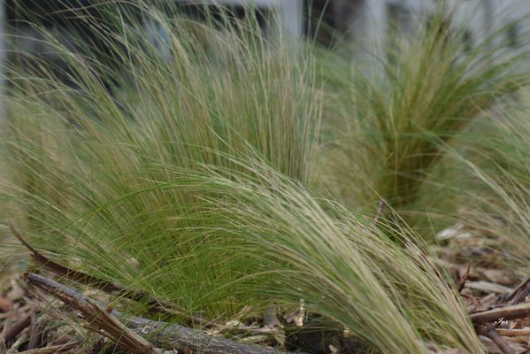 Un air de vacances mais A La DEFENSE