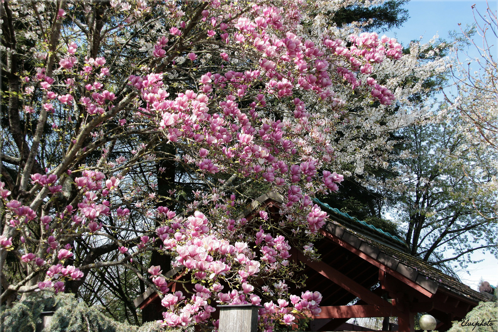 Un air du Japon 