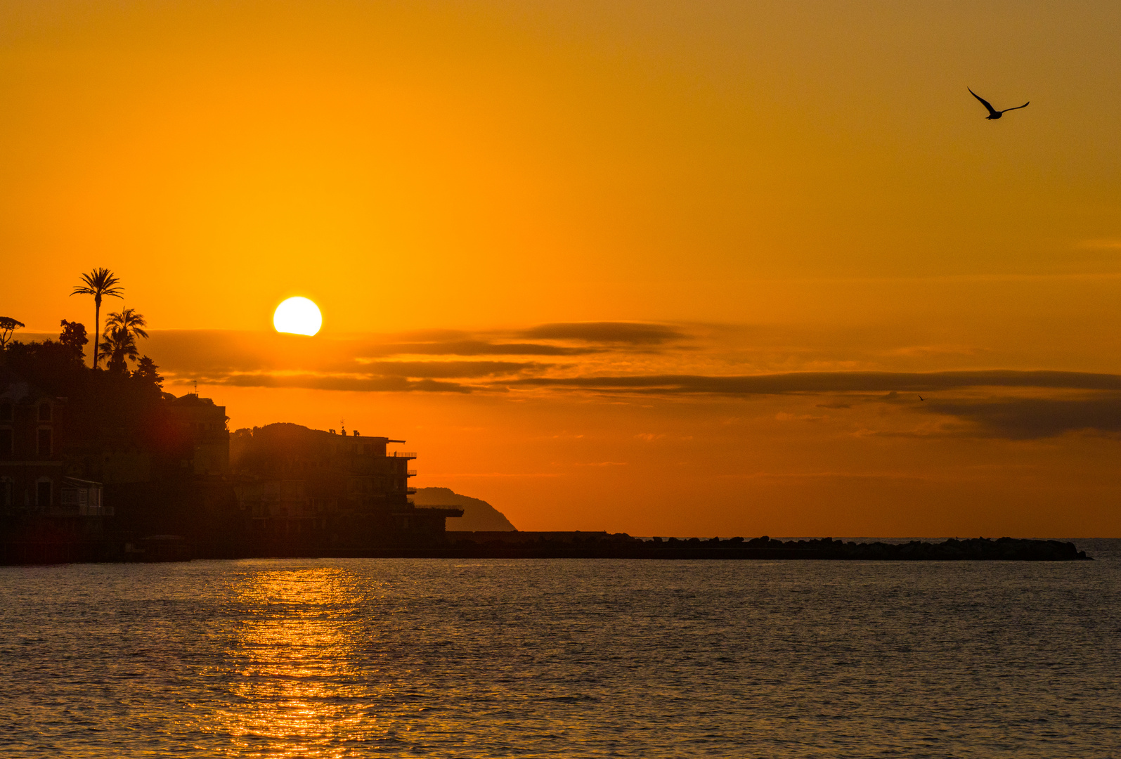 un alba dorata 