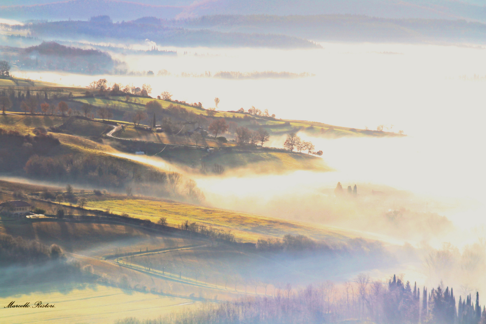 Un alba nella nebbia