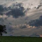 Un albero, il Gran Sasso ed una splendida coppia