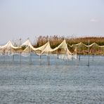 Un altra de xarxes a l'albufera.