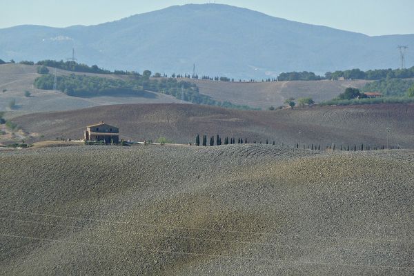 Un altro aspetto della campagna toscana.