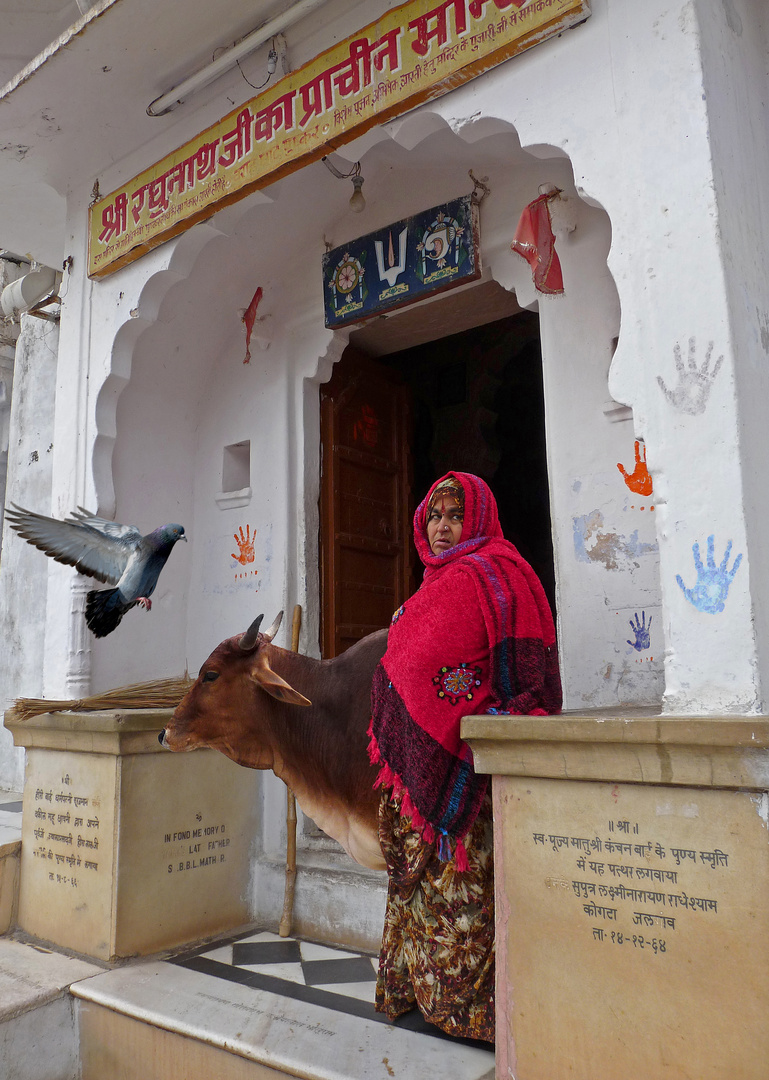 Un altro giorno a Pushkar...