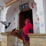 Un altro giorno a Pushkar...