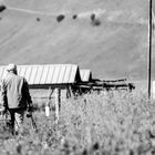 Un altro modo di vedere Castelluccio