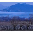 ..un altro scorcio di campagna....