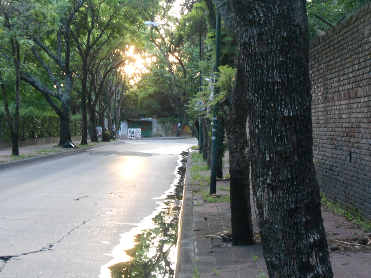 UN AMANECER EN LA CIUDAD