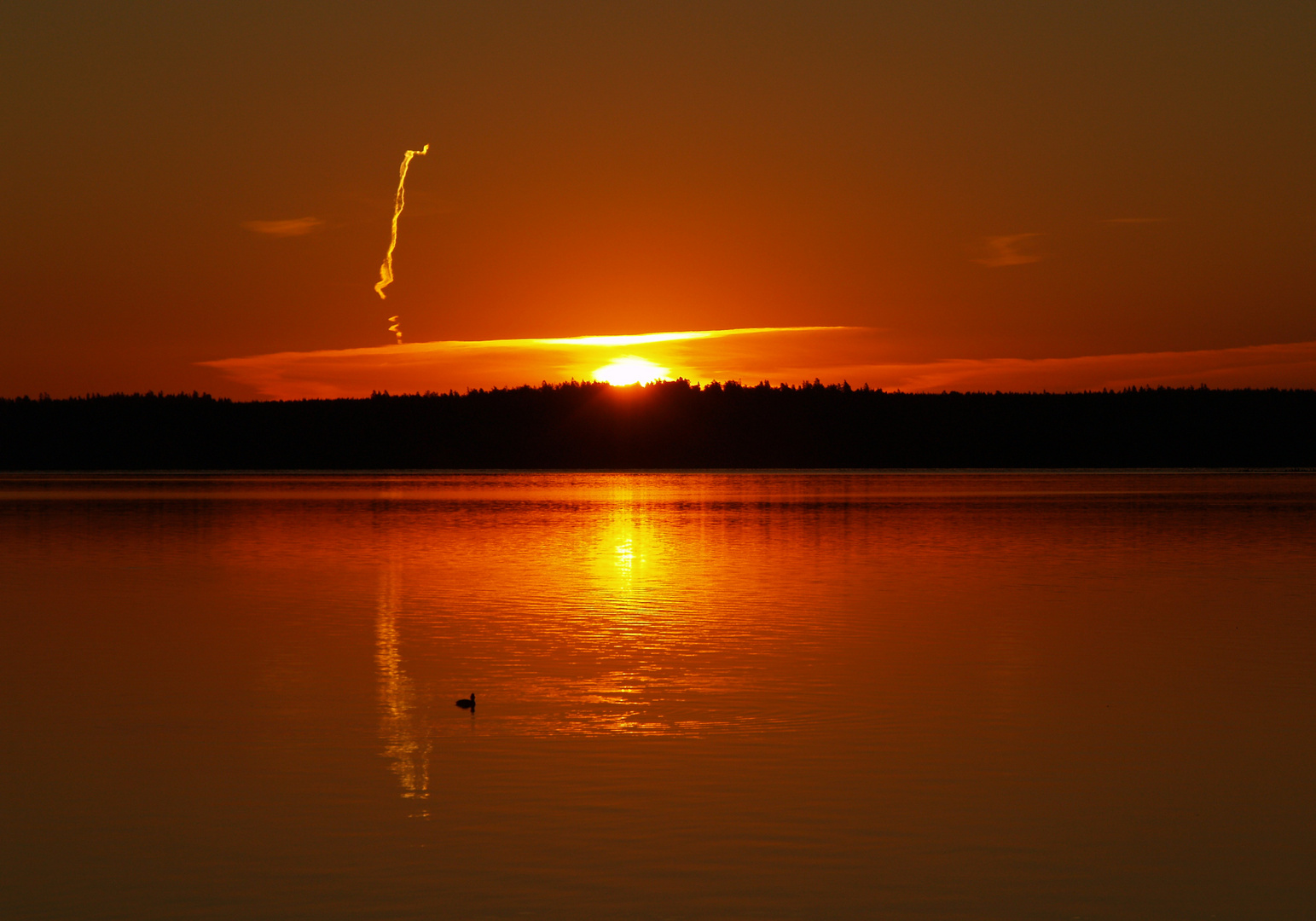 UN AMANECER INESPERADO