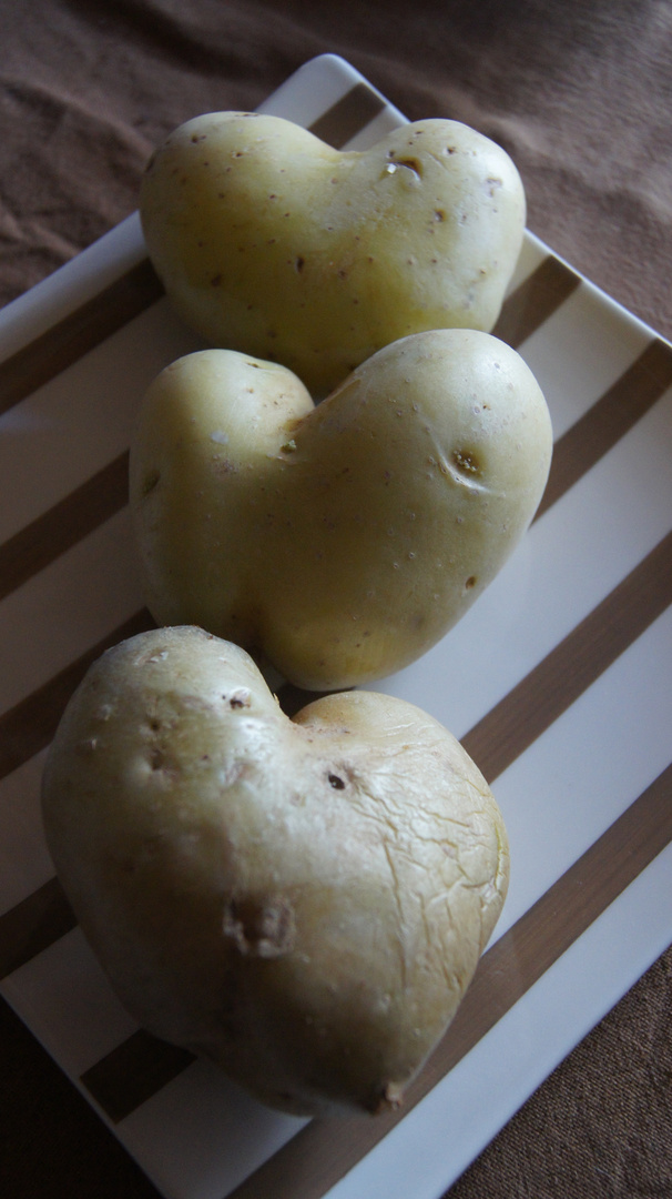 un amour de patate,ces trois là dans le meme filet!!lol