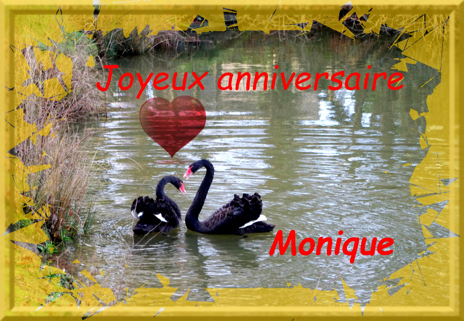 Un An De Plus Photo Et Image Special Anniversaire Emotions Images Fotocommunity