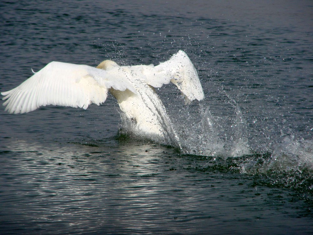 un ange passe.......