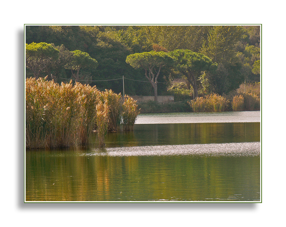 Un angolo del lago d'Averno