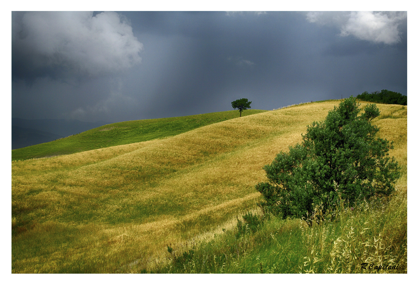 Un angolo della Toscana