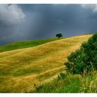 Un angolo della Toscana