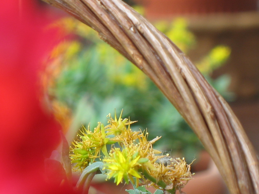 Un angolo, rubato, di colore