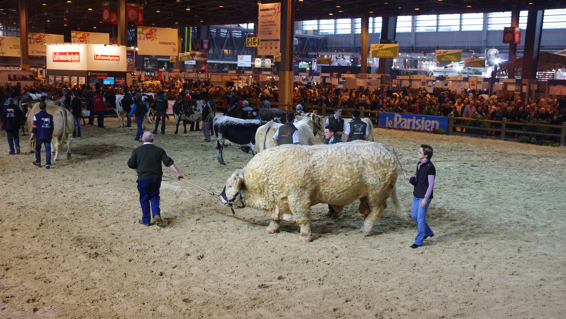 Un aperçu des plus beaux animaux du salon 2011