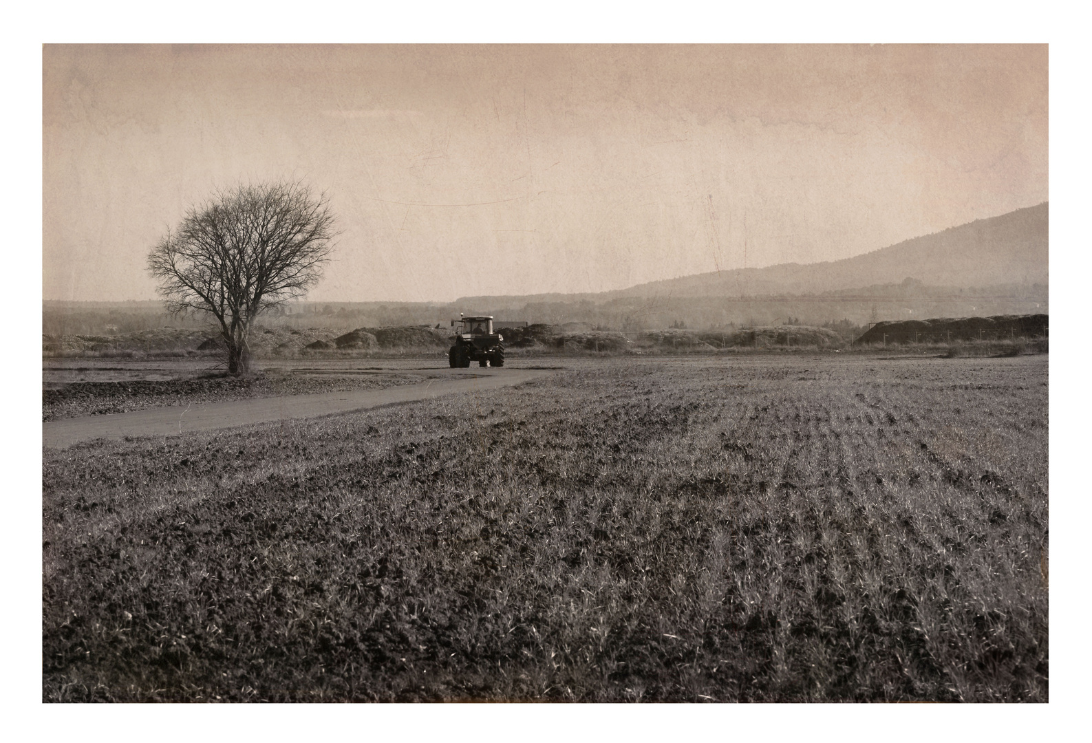 un après midi à la campagne