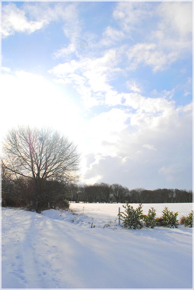 Un après midi dans la neige