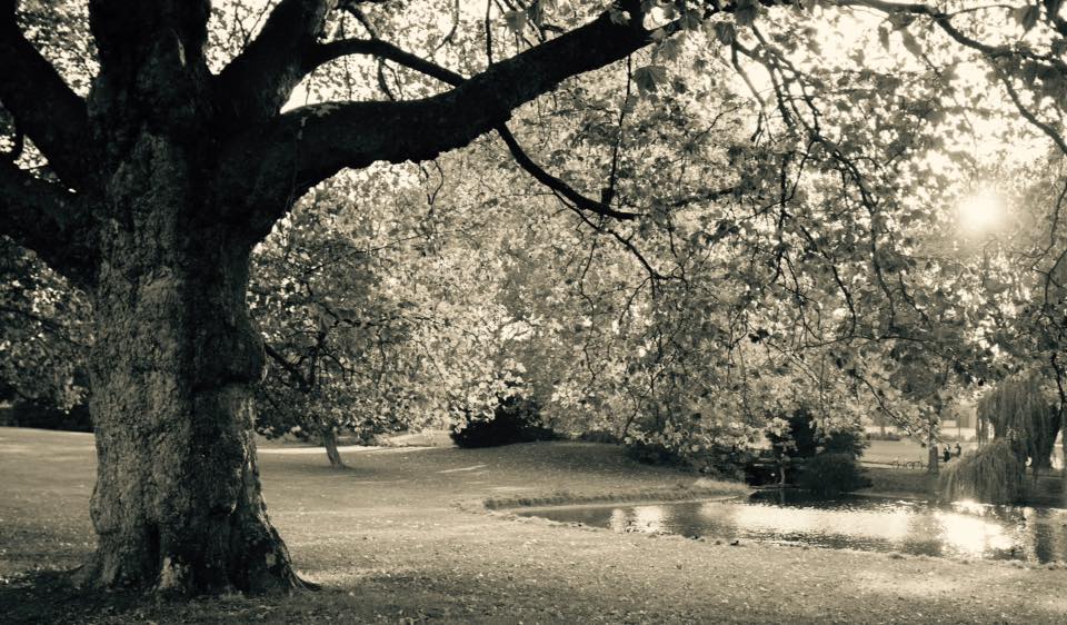 Un après-midi d'automne