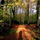 un après midi d'automne 