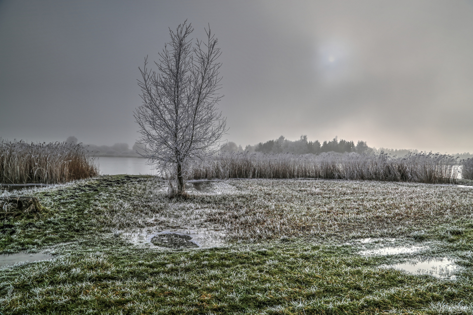 un aprés midi d'hiver