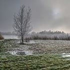 un aprés midi d'hiver