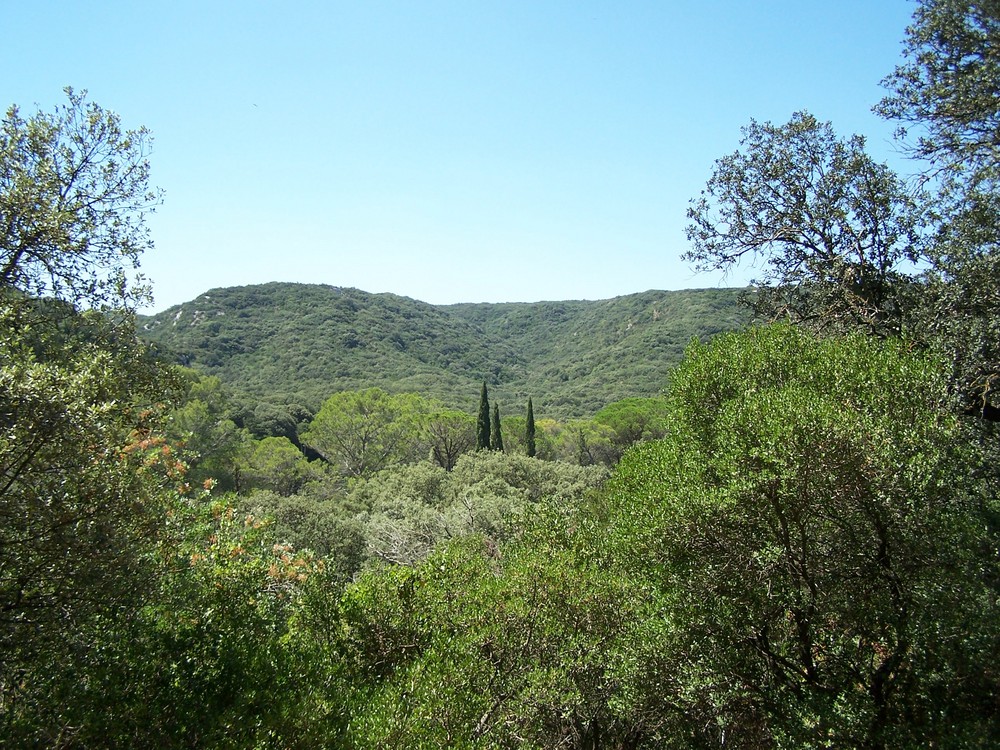 un apres midi provencal