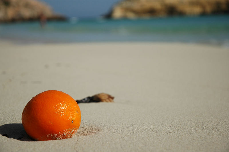 Un arancia solitaria... (lampedusa 2004)