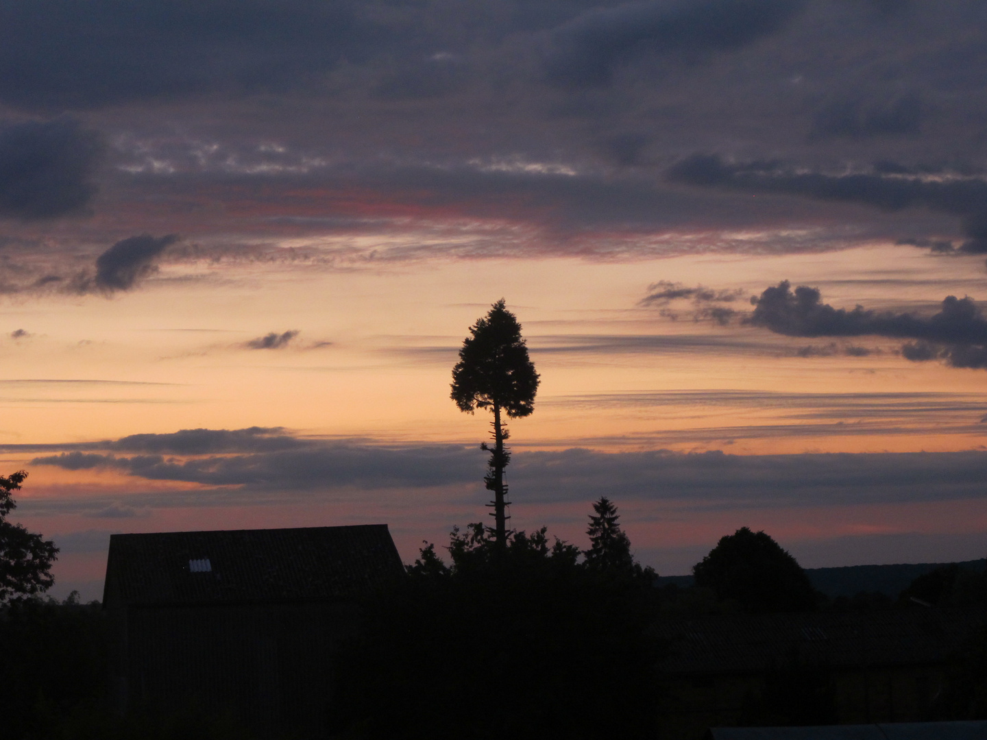 un arbre dans le ciel rose 3...