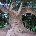 un arbre special