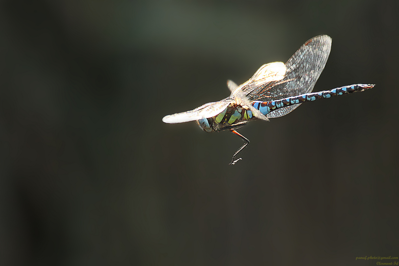 Un arc-en-ciel volant