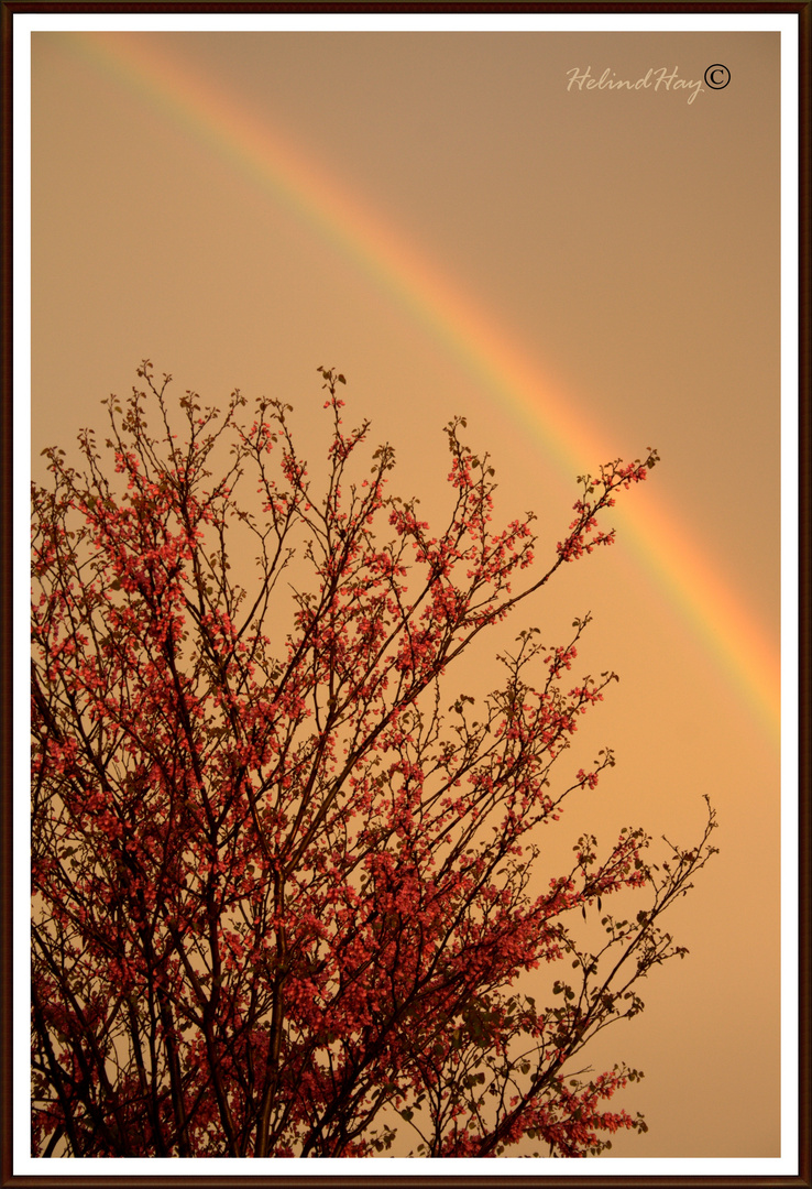 Un arcoiris en un cálido atardecer