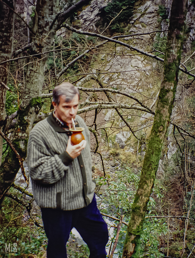 Un argentino en Asturias