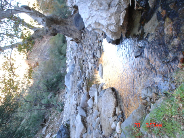 un arroyo en el cañon de los alisos, de la sierra de Aconchi.Sonora