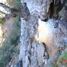 un arroyo en el cañon de los alisos, de la sierra de Aconchi.Sonora