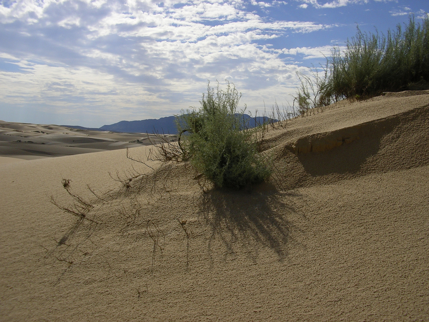 Un aspecto de las Dunas