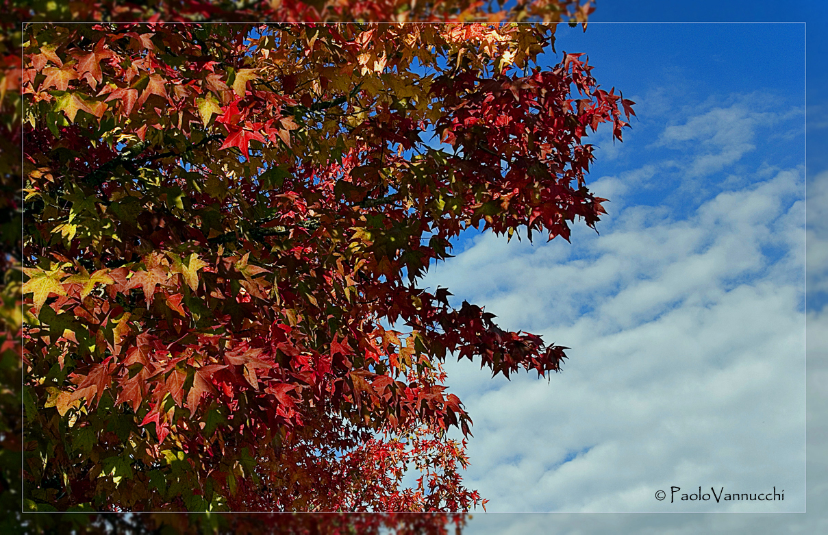 un assaggio d' autunno....