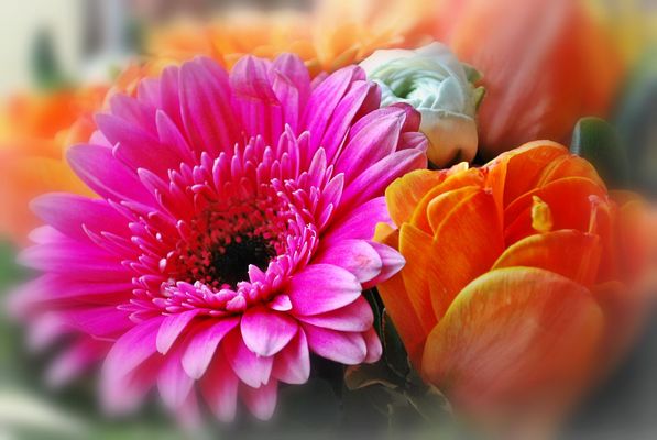 Un augurio di serena Pasqua a tutti!