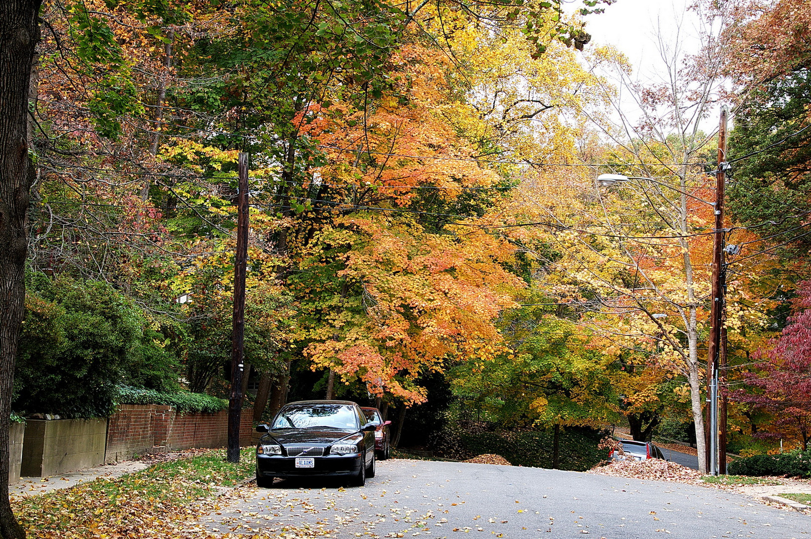 Un Automne à Washington