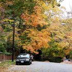 Un Automne à Washington