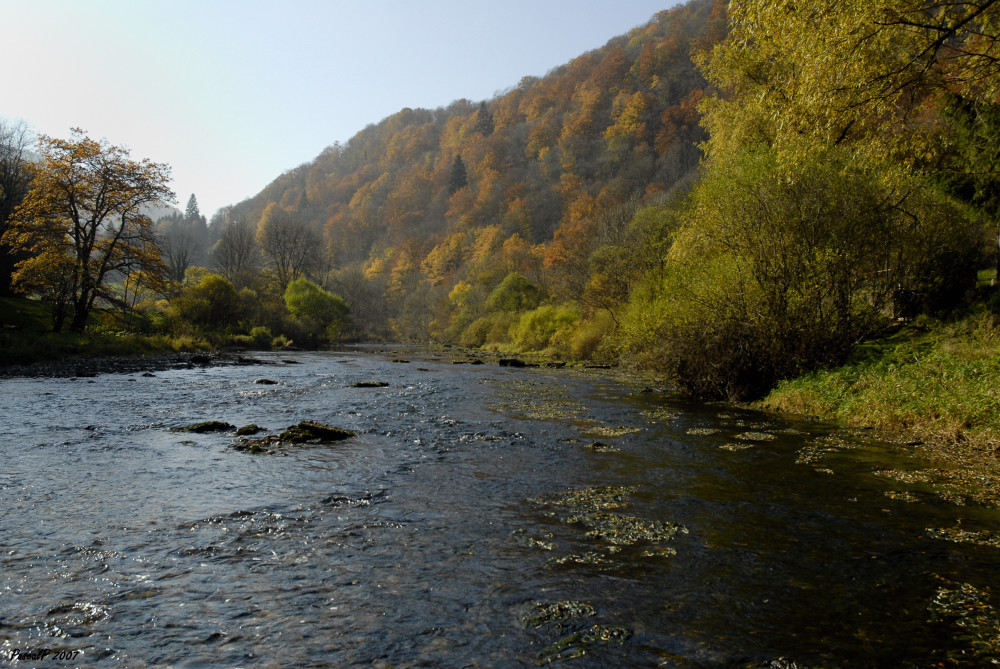 Un automne au bord de l'eau