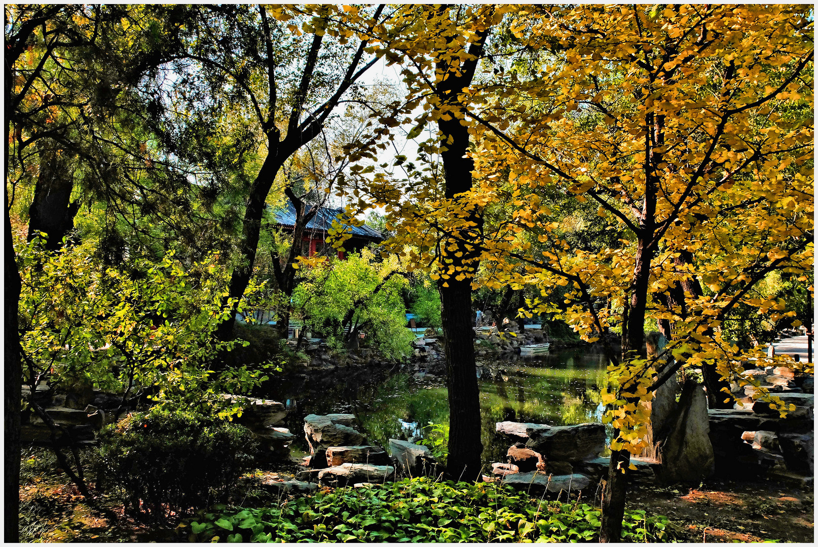 Un automne chinois