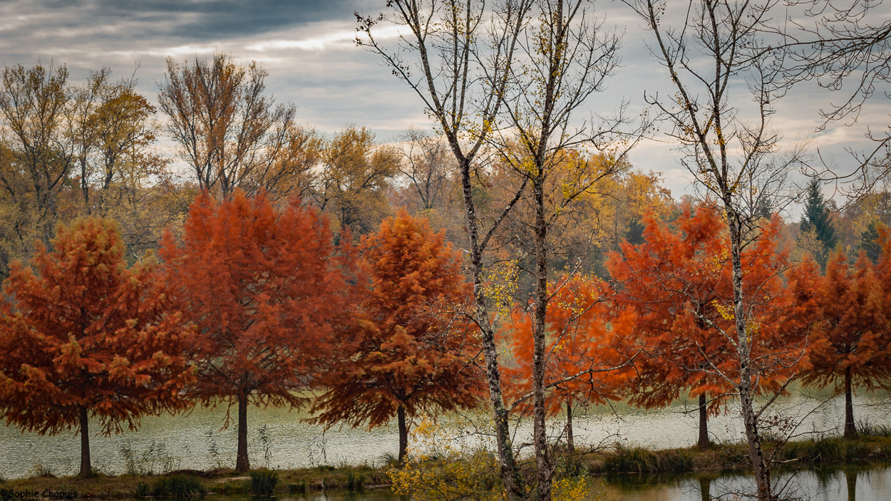 un automne de ... ouf