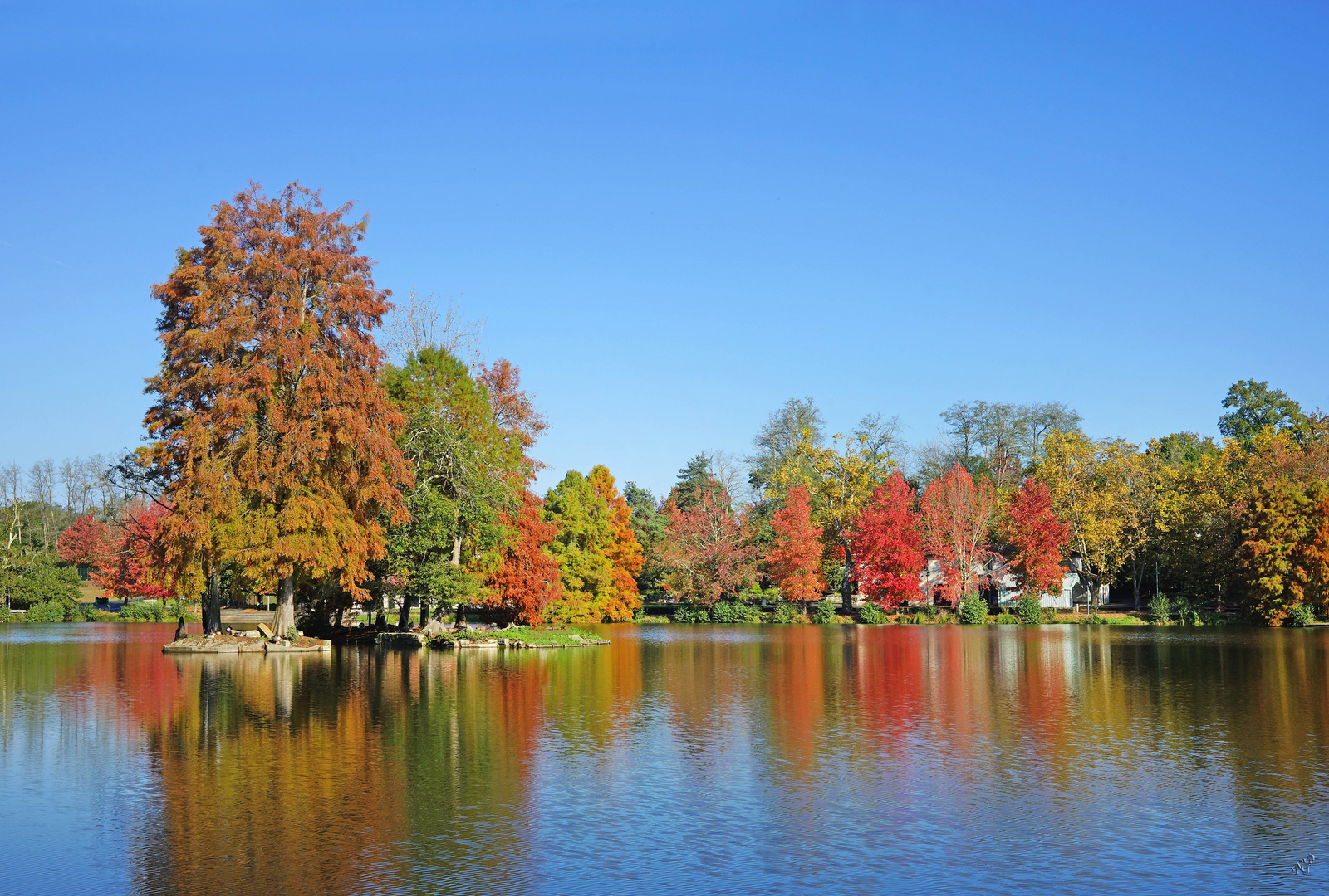 un automne flamboyant