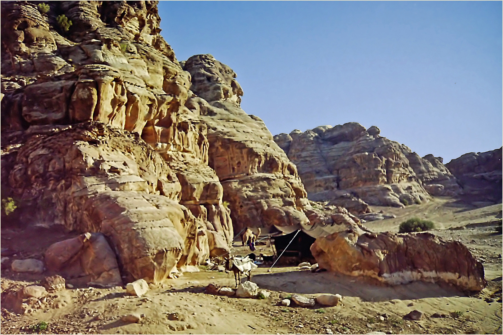 Un autre campement de nomades dans une vallée près de Petra 