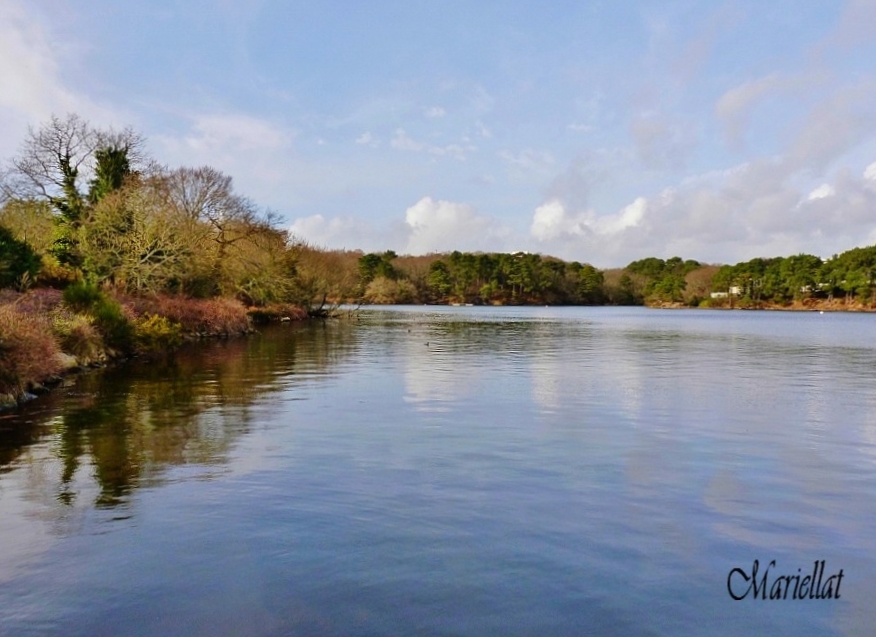 Un autre endroit de l'étang du Ter Ploemeur (Morbihan)